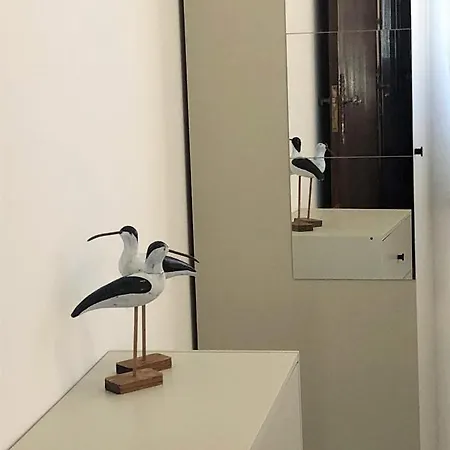 公寓 Charming Apartment- Peniche 孔索拉桑